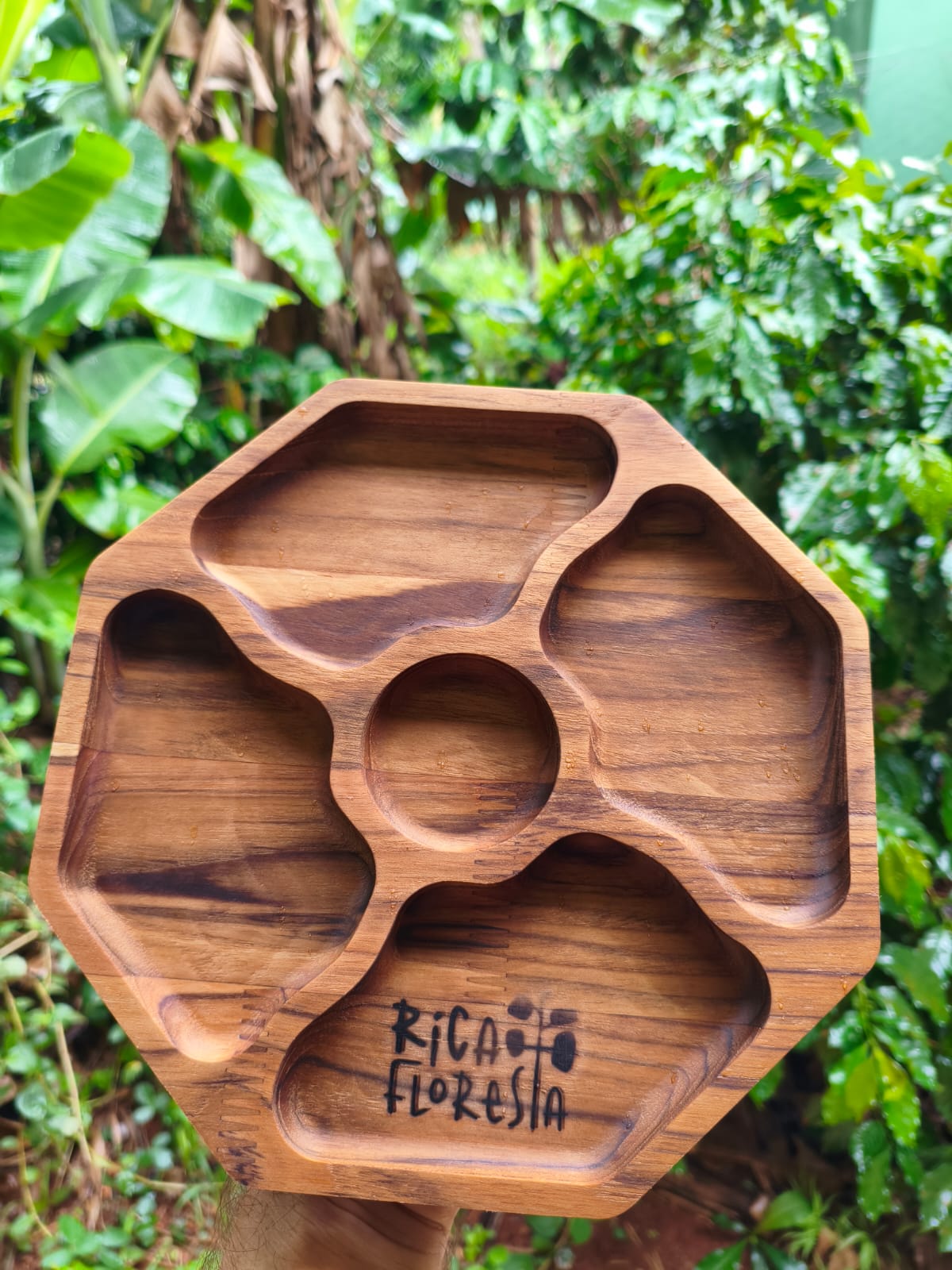 Petisqueira de Madeira